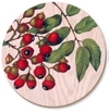 Coaster - Titoki Berries