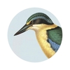 Hushed Coaster - Kingfisher on Blue