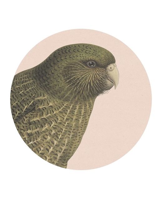 Hushed Placemat - Kakapo on Pink