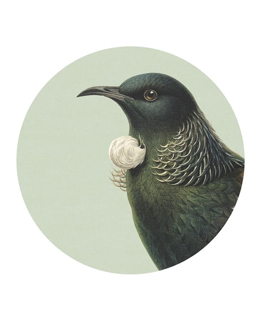 Placemat Hushed Tui on Green